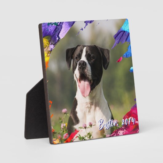 Kleurrijk penseelstreek fotolijst plaquette fotoplaat (Voorkant)