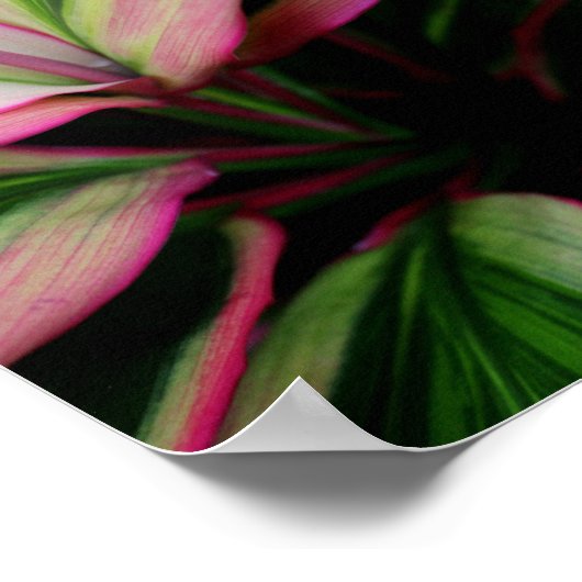 Kleurrijk Plant Poster (Hoek)