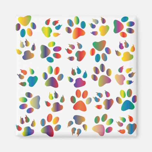 Kleurrijk pootpatroon magneet (Voorkant)