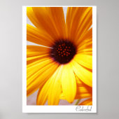 kleurrijk poster (Voorkant)