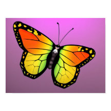 Kleurrijk poster van de vlinder