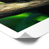 Kleurrijk poster voor het schilderen van tropische (Hoek)