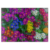 Kleurrijk primroomglas snijplank (Voorkant)