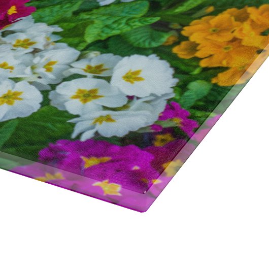 Kleurrijk primroomglas snijplank (Hoek)