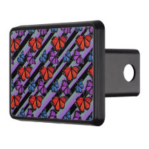 Kleurrijk rondvliegpatroon met gestreepte regenboo