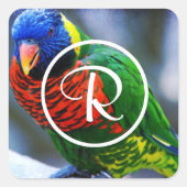 Kleurrijk rood groen blauw loriket vogel monogram vierkante sticker (Voorkant)
