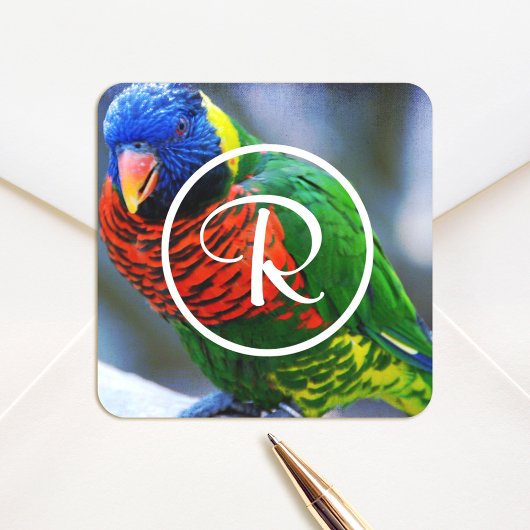 Kleurrijk rood groen blauw loriket vogel monogram vierkante sticker