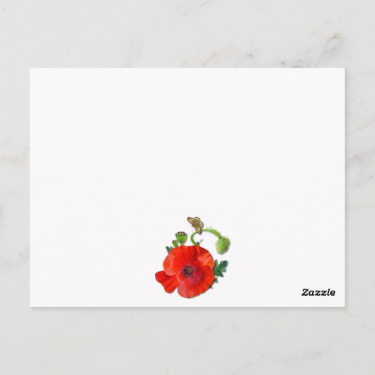 Kleurrijk Rood Klaprozenveld Beterschapswensen Briefkaart (Achterkant)