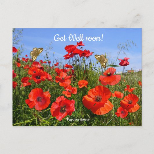 Kleurrijk Rood Klaprozenveld Beterschapswensen Briefkaart (Voorkant)