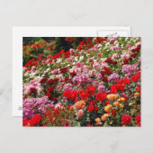 Kleurrijk roos tuin print briefkaart (Voorkant / Achterkant)