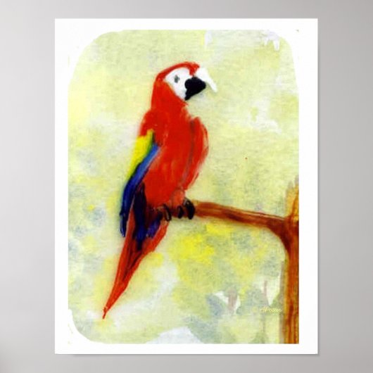 Kleurrijk schilderij Macaw Parrot Poster (Voorkant)