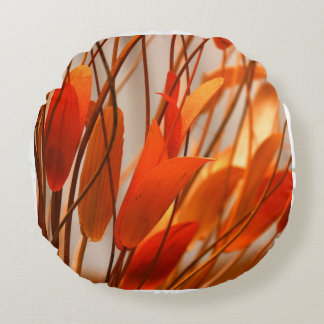 Kleurrijk sinaasappel rond kussen