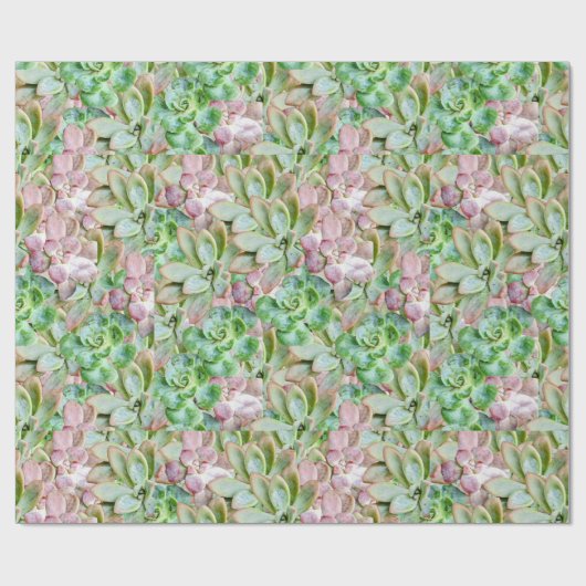 Kleurrijk Succulent Cadeaupapier (Vlak)