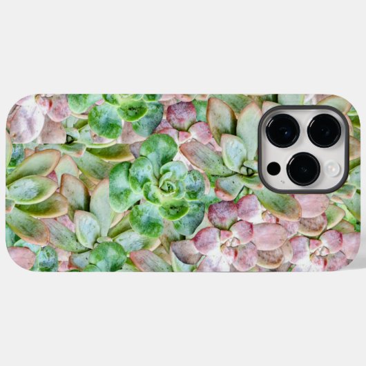 Kleurrijk Succulent Case-Mate iPhone Case (Achterkant (horizontaal))