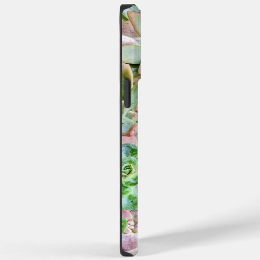 Kleurrijk Succulent Case-Mate iPhone Case (Achterkant / Rechts)