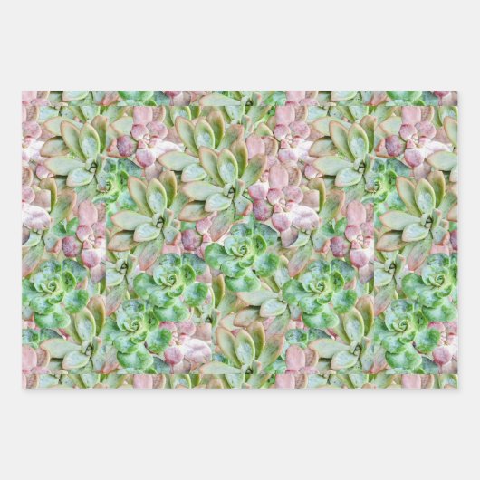 Kleurrijk Succulent Inpakpapier Vel (Voorkant 2)