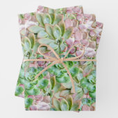 Kleurrijk Succulent Inpakpapier Vel (In situ)