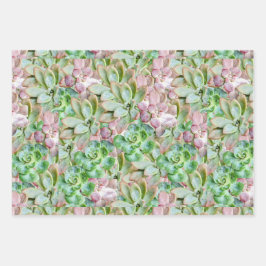 Kleurrijk Succulent Inpakpapier Vel