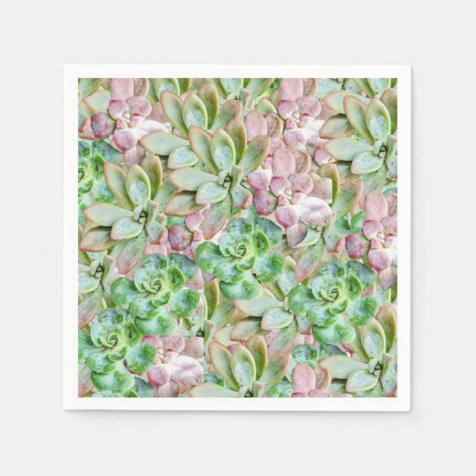 Kleurrijk Succulent Servet (Voorkant)
