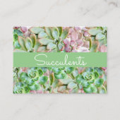 Kleurrijk Succulent Visitekaartje (Voorkant)