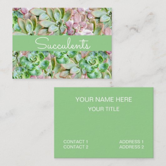Kleurrijk Succulent Visitekaartje (Voorkant / Achterkant)
