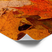 Kleurrijk tapijt, Ontario, Canada Poster (Hoek)