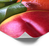Kleurrijk tropisch fruit poster (Hoek)