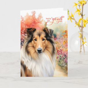 Kleurrijk tuinpad met ruwharige collie - beterscha kaart