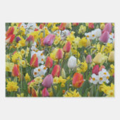 Kleurrijk tulpen- en narcissen-inpakpapier inpakpapier vel (Voorkant 3)