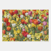 Kleurrijk tulpen- en narcissen-inpakpapier inpakpapier vel (Voorkant 2)