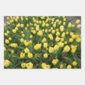 Kleurrijk tulpen- en narcissen-inpakpapier inpakpapier vel (Voorkant)