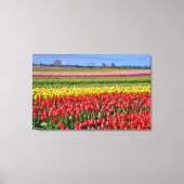 Kleurrijk tulpenlandschap canvas afdruk (Voorkant)
