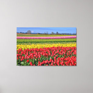 Kleurrijk tulpenlandschap canvas afdruk