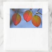 Kleurrijk verlicht najaar leest Trio Rechthoekige Sticker (Tas)