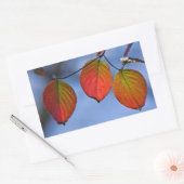 Kleurrijk verlicht najaar leest Trio Rechthoekige Sticker (Envelop)