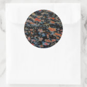 Kleurrijk Versteend Dinosaurusbot Ronde Sticker (Tas)