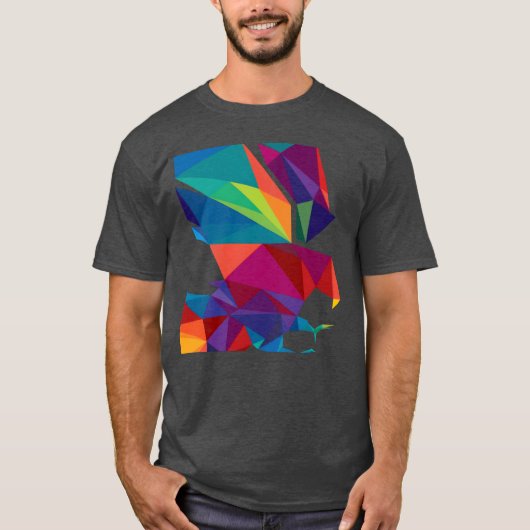 Kleurrijk vogelcadeau t-shirt (Voorkant)