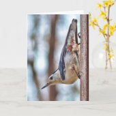 Kleurrijk wit-Breasted Nuthatch Verticaal Kaart (Gele Bloem)