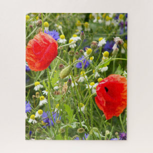 kleurrijk, wit, rood, papaver, weide, natuur, legpuzzel