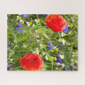 kleurrijk, wit, rood, papaver, weide, natuur, legpuzzel (Horizontaal)