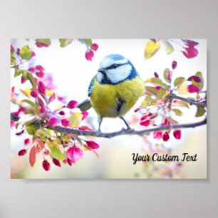 Kleurrijk Zangvogel & Lente Bloesem, Uw Boodschap Poster