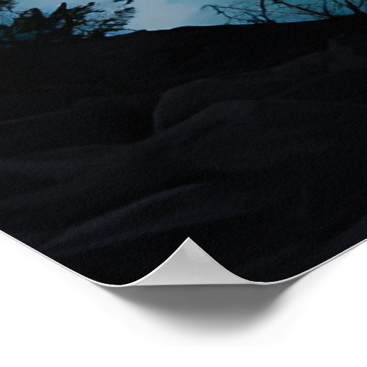 Kleurrijk zomerpanorama van het Lac Blanc meer Poster (Hoek)