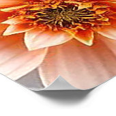 Kleurrijke 3D-bloemen Poster (Hoek)