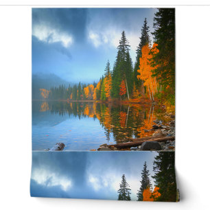Kleurrijke 3D digitale schil en stick wallpaper – Behang