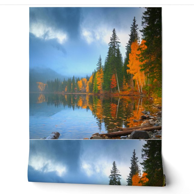 Kleurrijke 3D digitale schil en stick wallpaper –  Behang (Afrollen)
