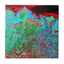 Kleurrijke Abstracte tuin met Crimson Sunset
