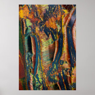 Kleurrijke abstracte van een Tijgeroog Poster