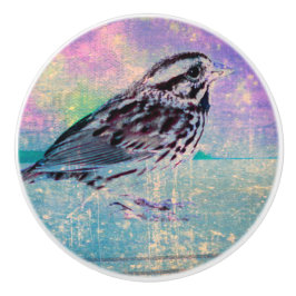 Kleurrijke Abstracte vogelkunst: levendige zangvog Keramische Knop