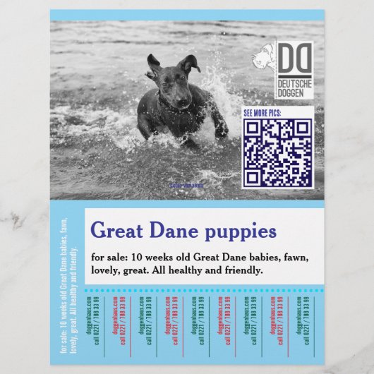 Kleurrijke af te scheuren hond flyer (Voorkant)
