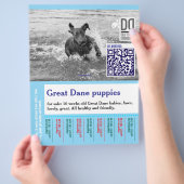 Kleurrijke af te scheuren hond flyer (Hand)